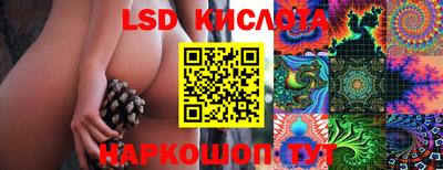 индика Абакан