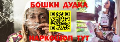 индика Абакан