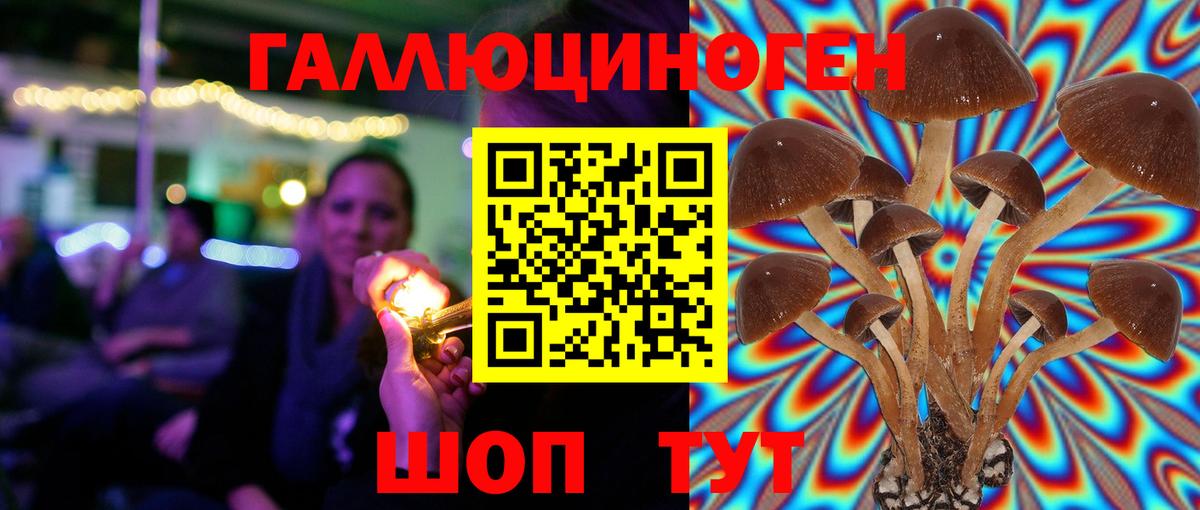Псилоцибиновые грибы Cubensis  Галлюциногенные грибы Cubensis  Вход с VPN  Анжеро-Судженск 